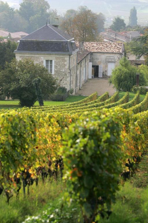 Chateau Richelieu Fronsac  Exteriör bild